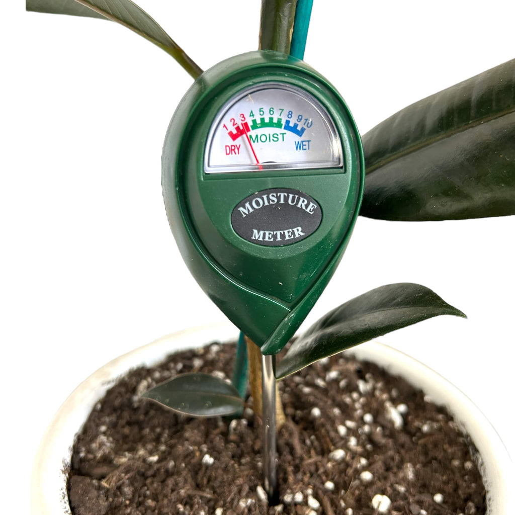 soil moisture meter nz Moisture Meter – The Lily Pot