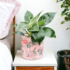 floral plant pot