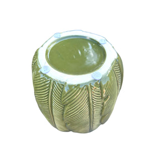 Olive green leaf plant pot