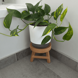 Wooden plant stand 