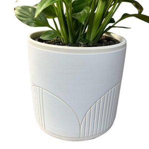 Cream Stone Plant Pot