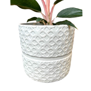 white laced plant cover pot