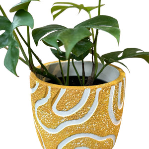 mustard yellow plant cover pot