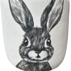 Rabbit Cement Cover Pot