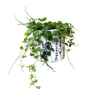 Lavendar Plant Cover Pot