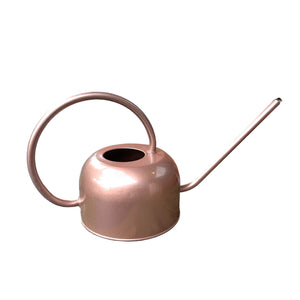 rose gold watering can