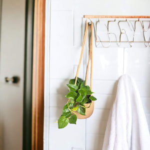 hanging basket for plants