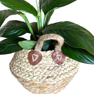 Woven Plant Baskets - 2 Sizes