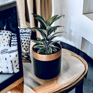 black and rose gold plant cover pot