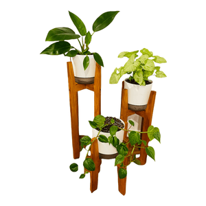 Set of 3 Kwila Wooden Plant Stands