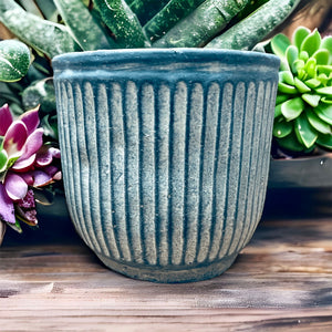 blue ridged plant cover pot